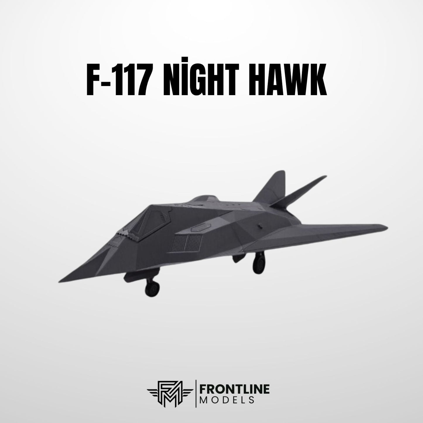 F-117 Night Hawk